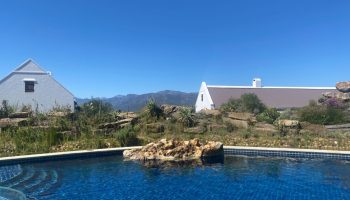 babylonstoren-pool-fynbos