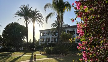 Buchinger-Wilhelmi-Marbella