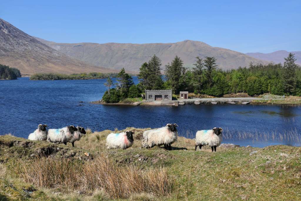 Connemara-Ireland-travel-guide