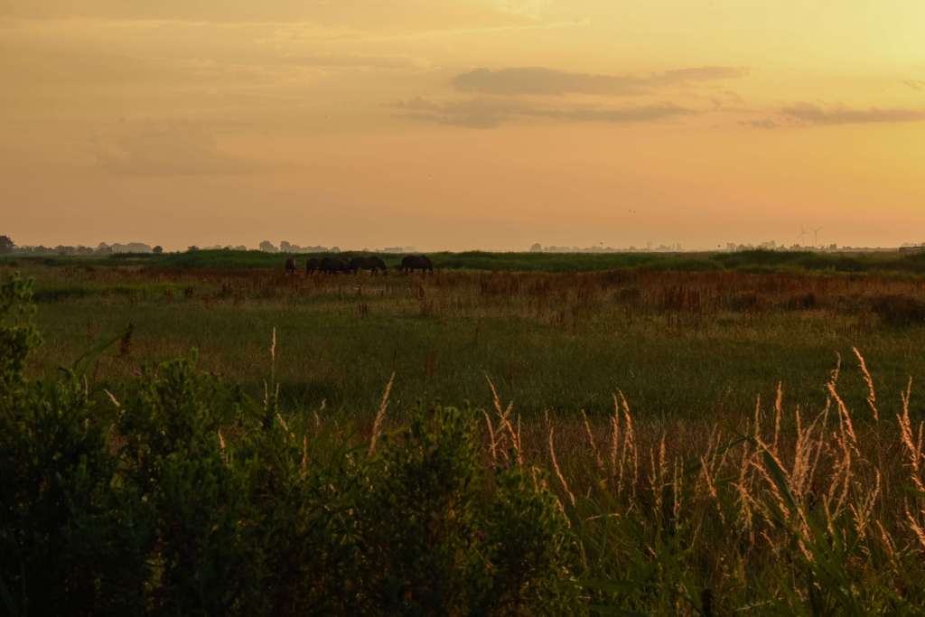 De-Durgerdam-the-hague-netherlands-guest-book