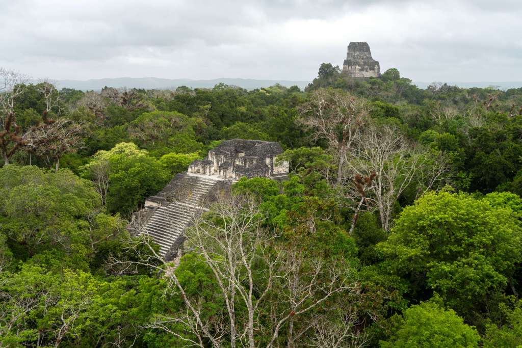 guatamala safari with sara ruffin costello