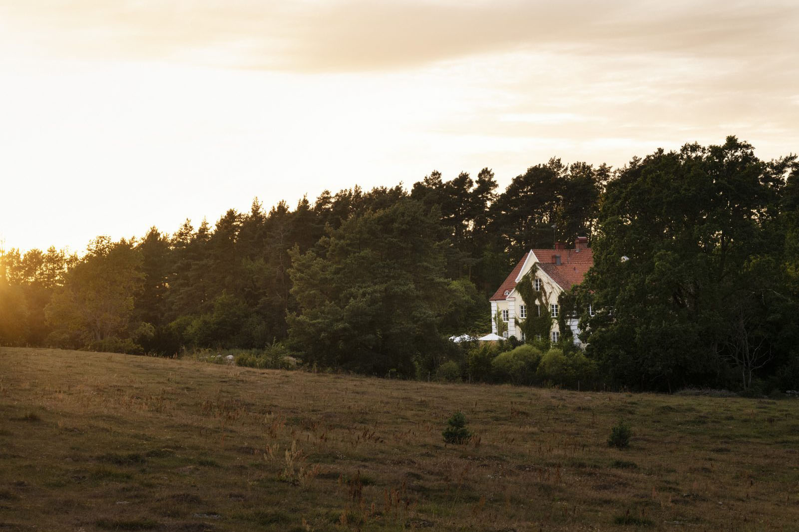 Postcard from…Skåne, Sweden