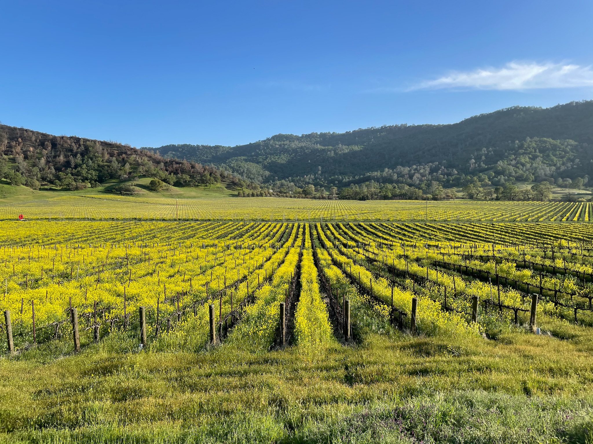 Napa & Sonoma Black Book