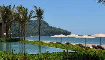 rosewood mandarina, salyulita, mexico