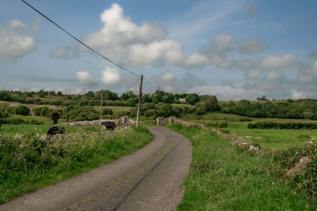 south-ireland-road-trip