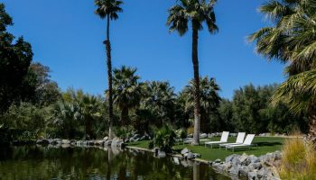 two-bunches-palms-desert-hot-springs-pool-2