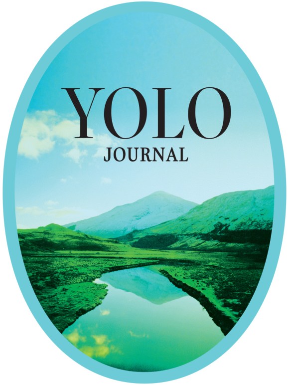 Yolo Sticker Cover 14