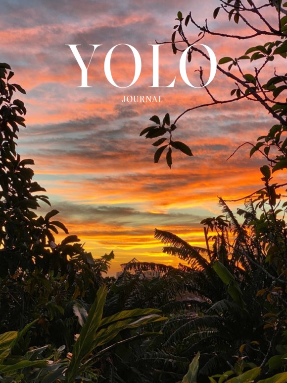 Yolo Journal Fall Issue 17