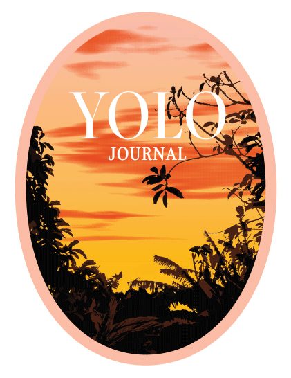 Yolo Sticker Cover 17