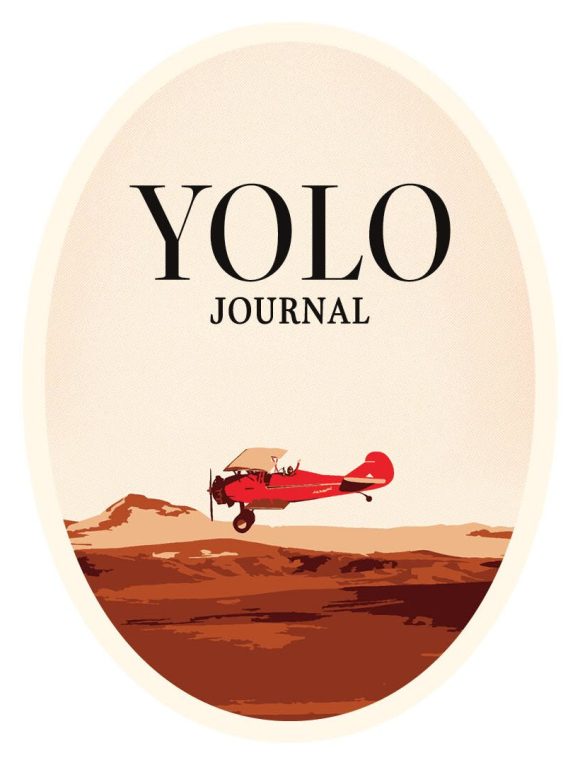 Yolo Sticker Cover 5