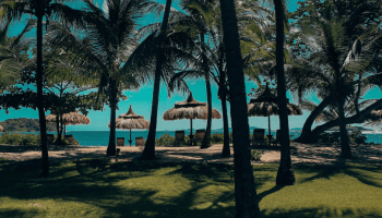 bequia beach caribbean