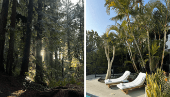 california coast dispatch