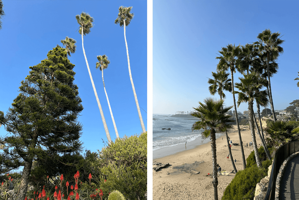 California coast dispatch