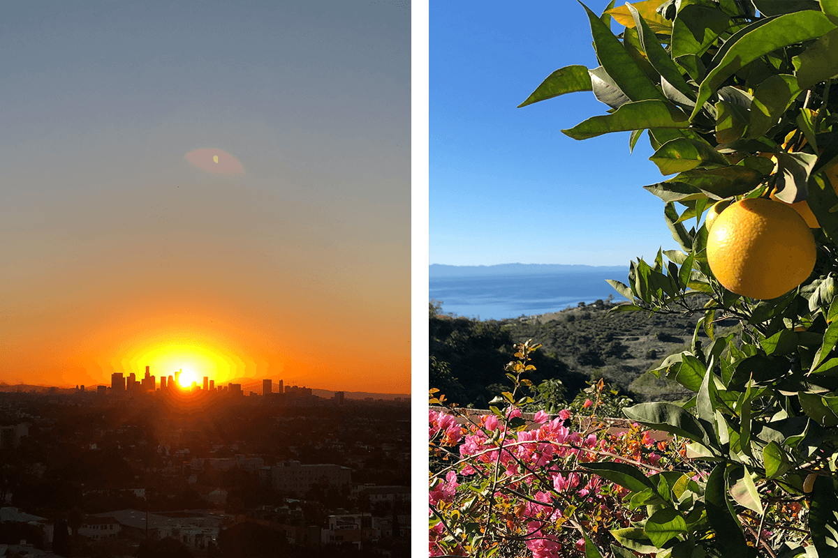 City & Country: Los Angeles