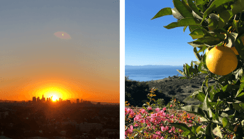 city and country los angeles