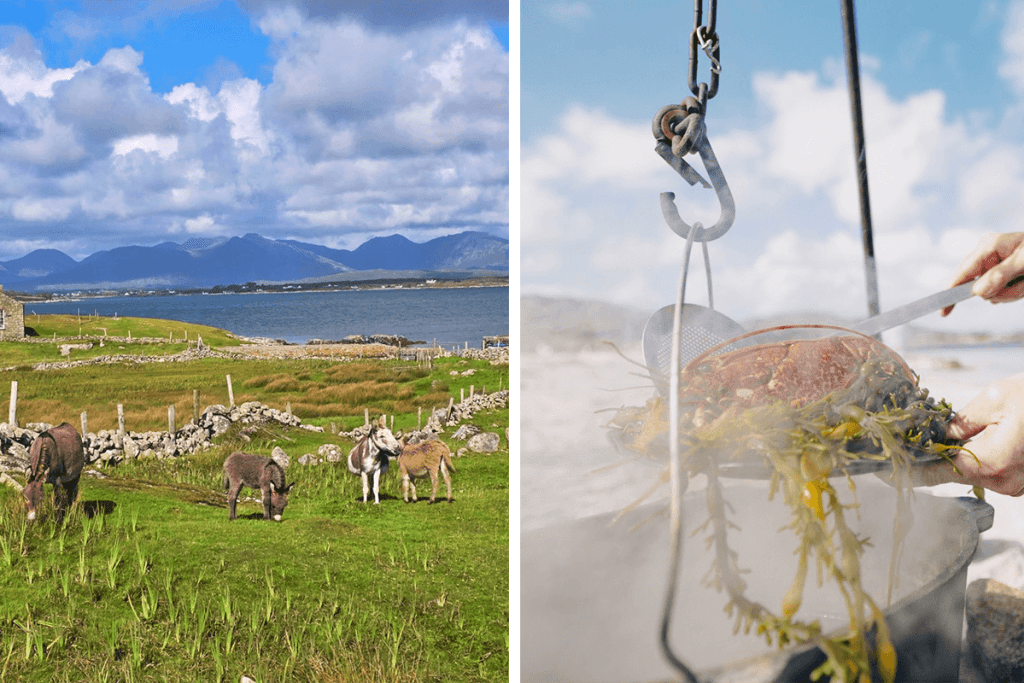 Connamare Ireland Travel Guide list 