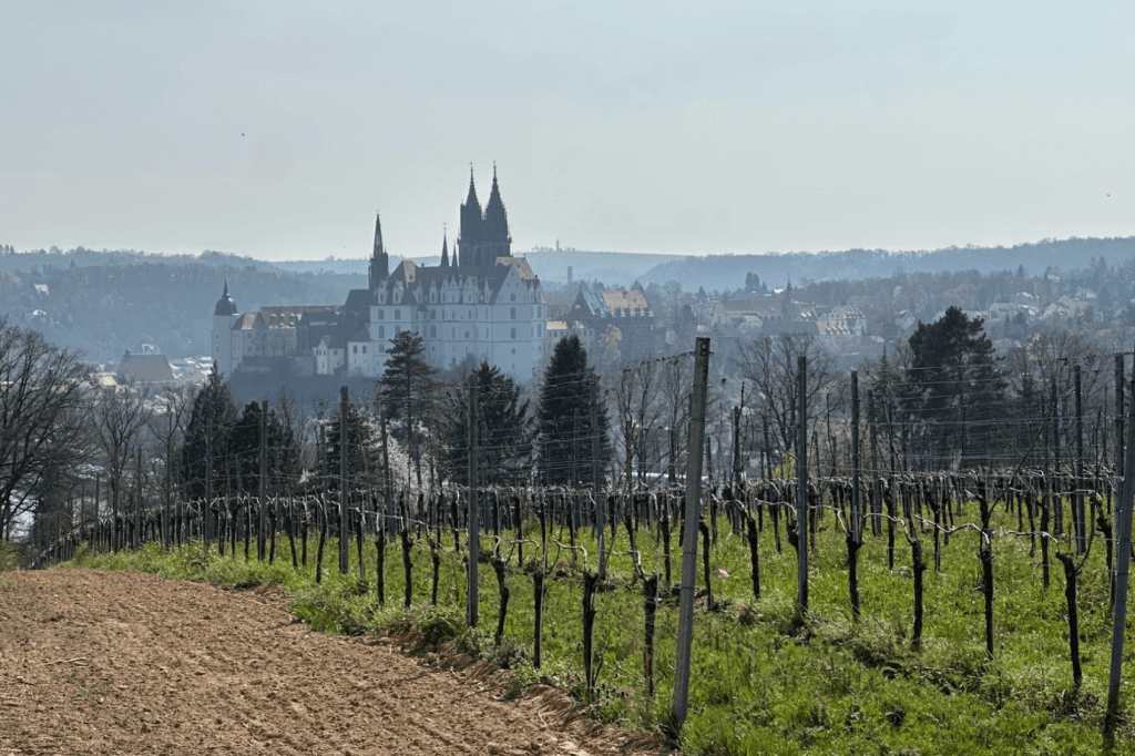 dispatch-from-dresden