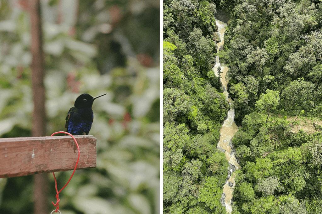 Ecuador and galapagos travel