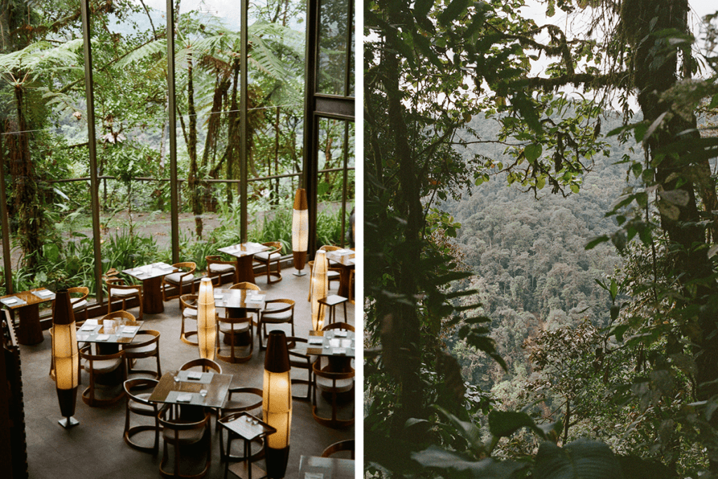 Ecuador and galapagos travel