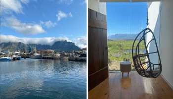 just-back-from-cape-town-opener