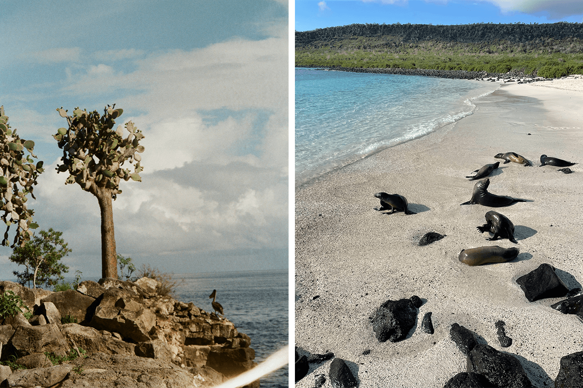 Dispatch from Ecuador