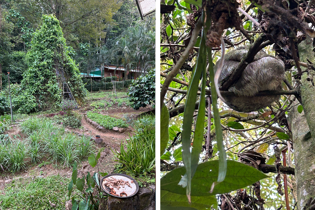 Origins lodge Costa Rica