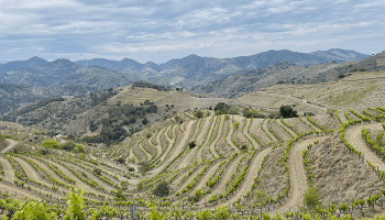 Priorat_Porrera-spain-travel