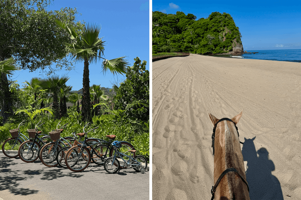 rosewood mandarina, salyulita, mexico