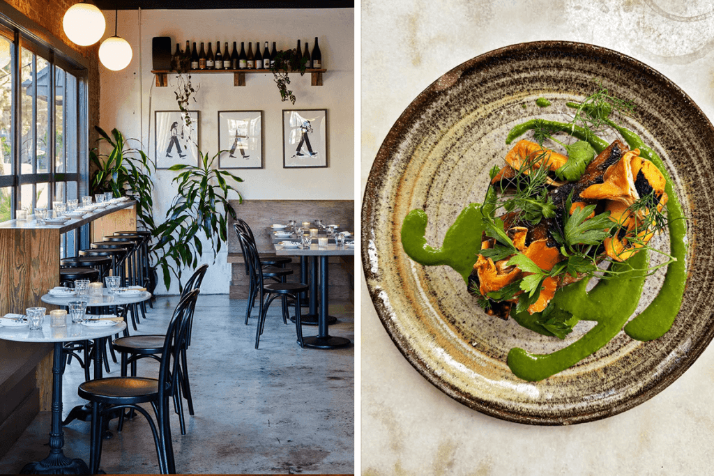 savannah, georgia travel guide from rebecca gardner of house and parties