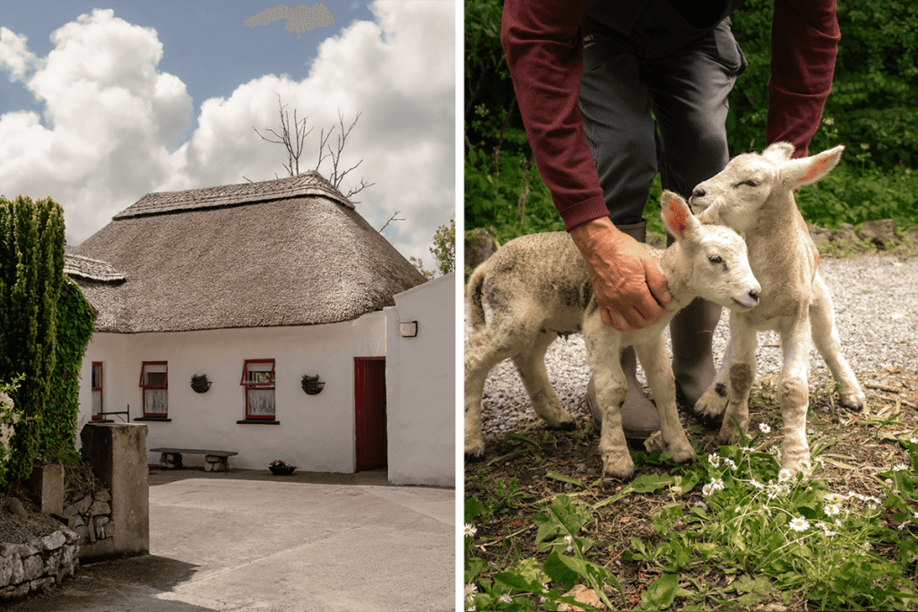 south-ireland-road-trip