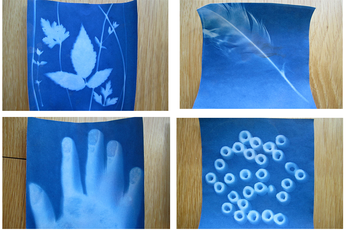 The Souvenir: Sun Print Paper Kit