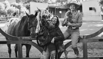 travel-well-Sterrekopje, cape town, south africa