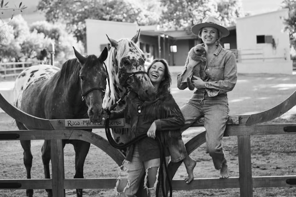 travel well Sterrekopje south africa