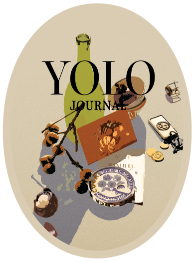 Yolo Sticker Cover 20